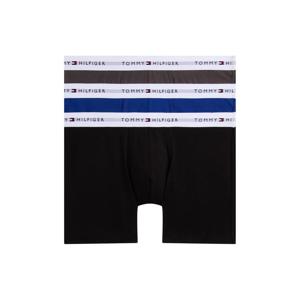 Tommy Hilfiger 3-Pack Signature Logo Waistband Boxer Briefs